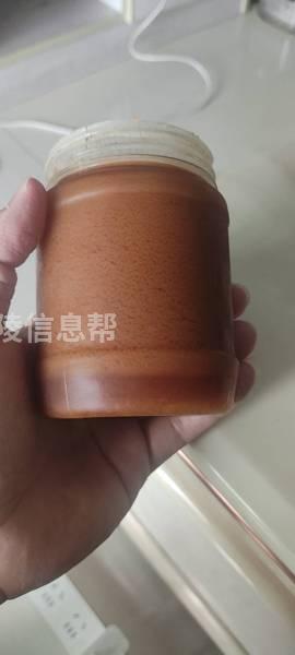 蜂蜜 老家自己养的蜜蜂 今年刚弄下来的