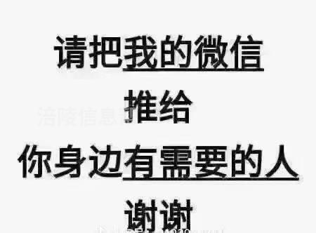 合法合规网约车