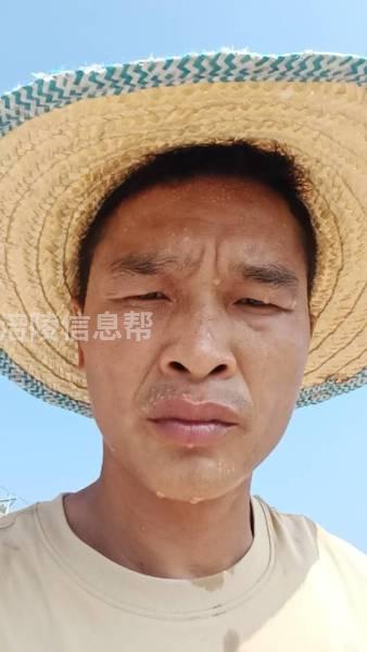 求驾驶员工作，叉车证，铲车证都有