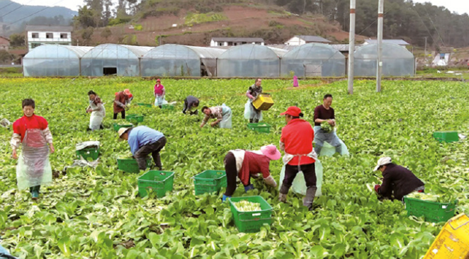 1775653065769569.png image.png