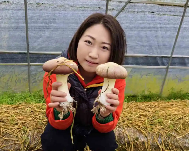 1776246210143000.png image.png