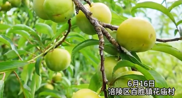 1781708777885822.png image.png